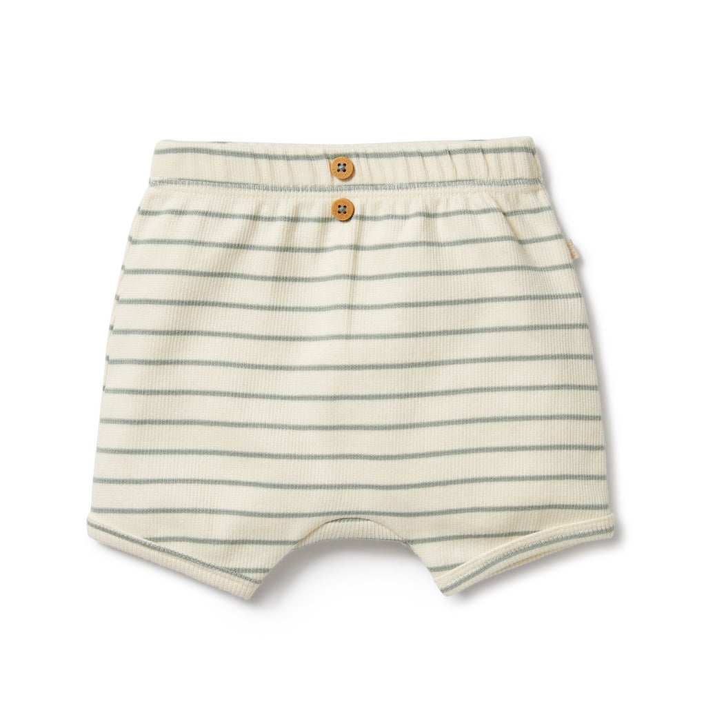 Wilson and Frenchy Petit Sage Stripe Shorts