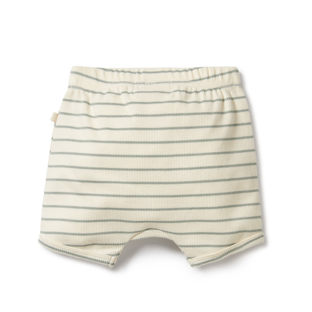 Wilson and Frenchy Petit Sage Stripe Shorts