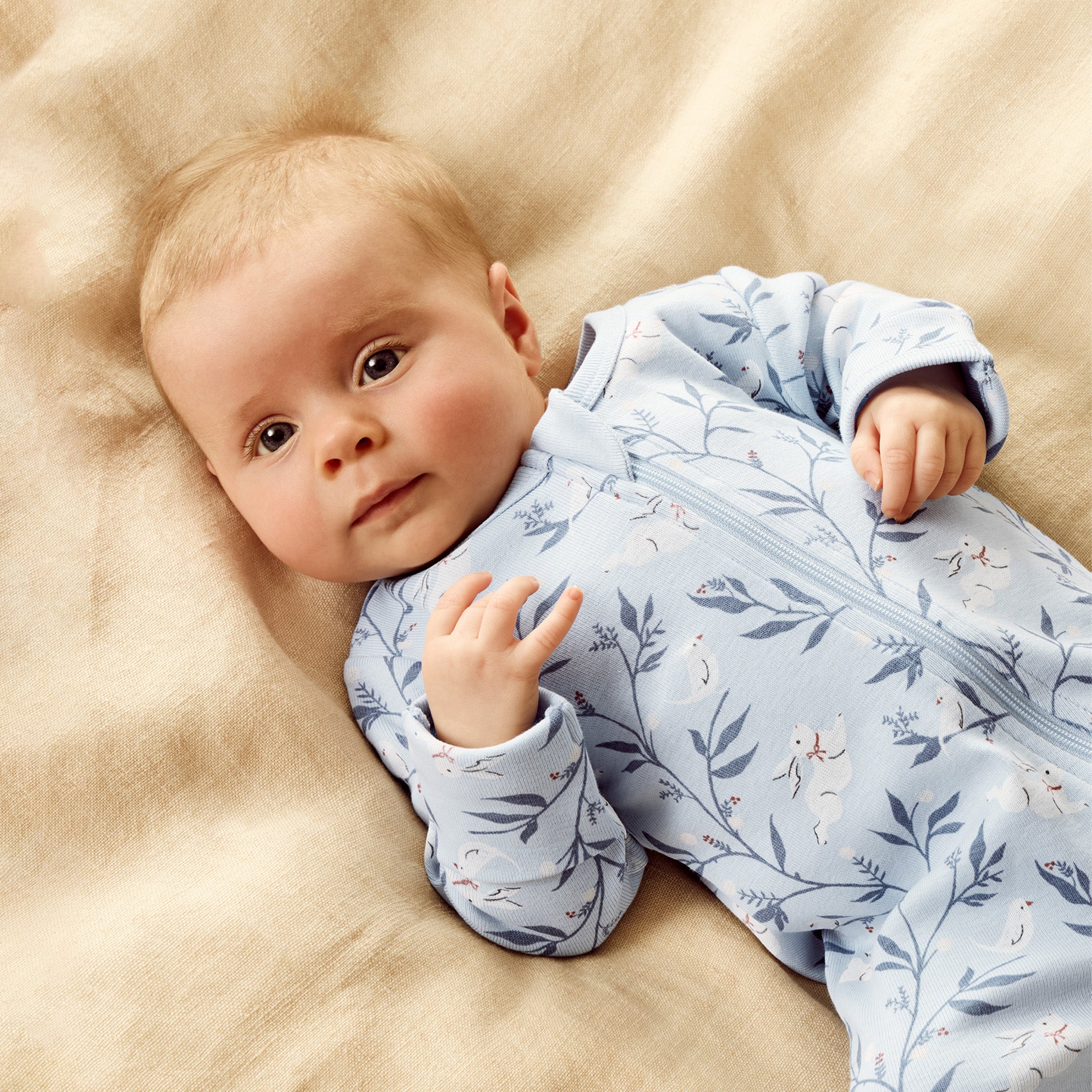 wilson and frenchy zip suit bunny