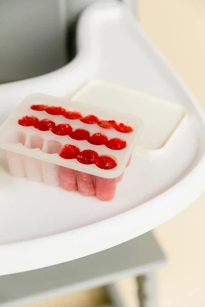 bibs baby food freezer tray 