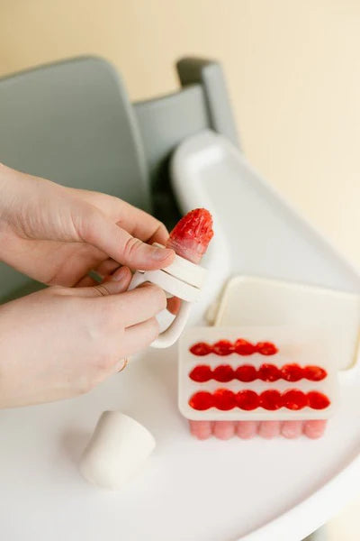 bibs baby food freezer tray 
