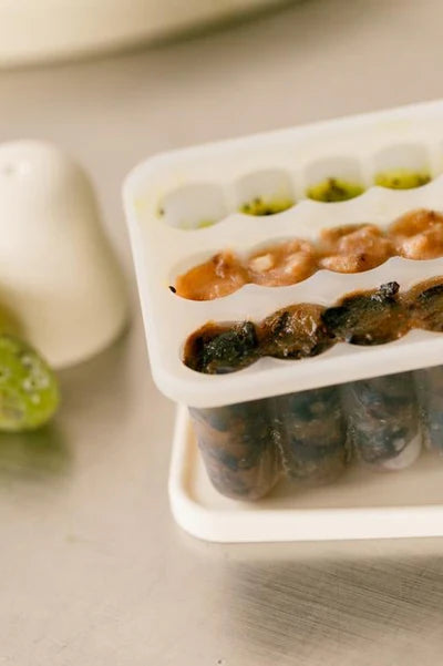 bibs baby food freezer tray 