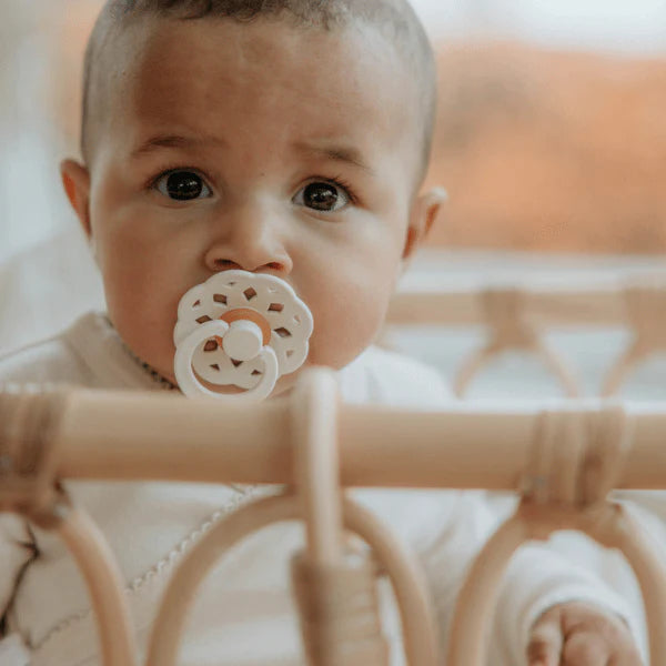 bibs boheme pacifiers in woodchuck/ blush