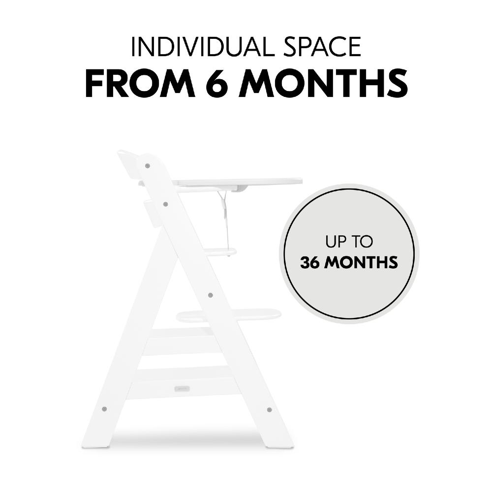 hauck alpha click tray