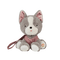 Gizmo