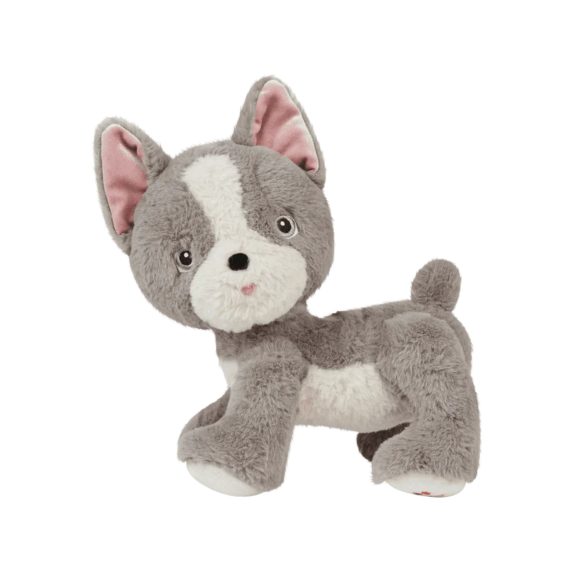 Olli Ella dinkum dog Gizmo
