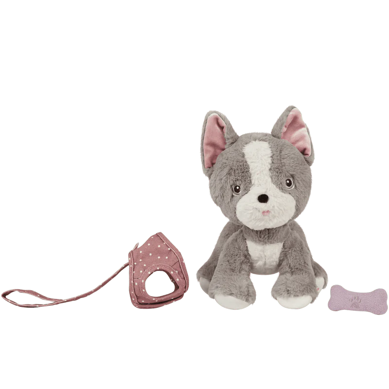 Olli Ella dinkum dog Gizmo