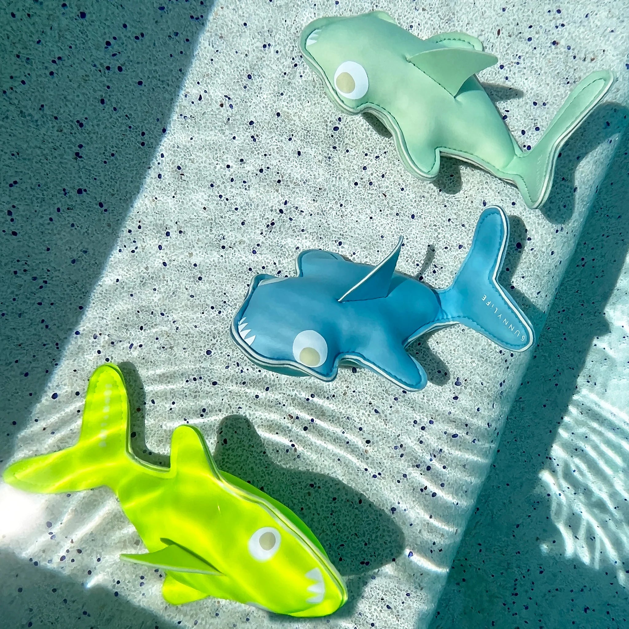Sunnylife dive buddies