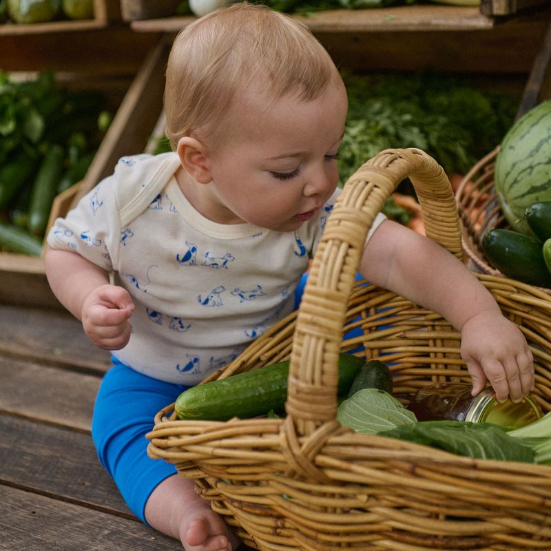 nature baby short sleeve bodysuit in dog walk print and sunday pants in mariner