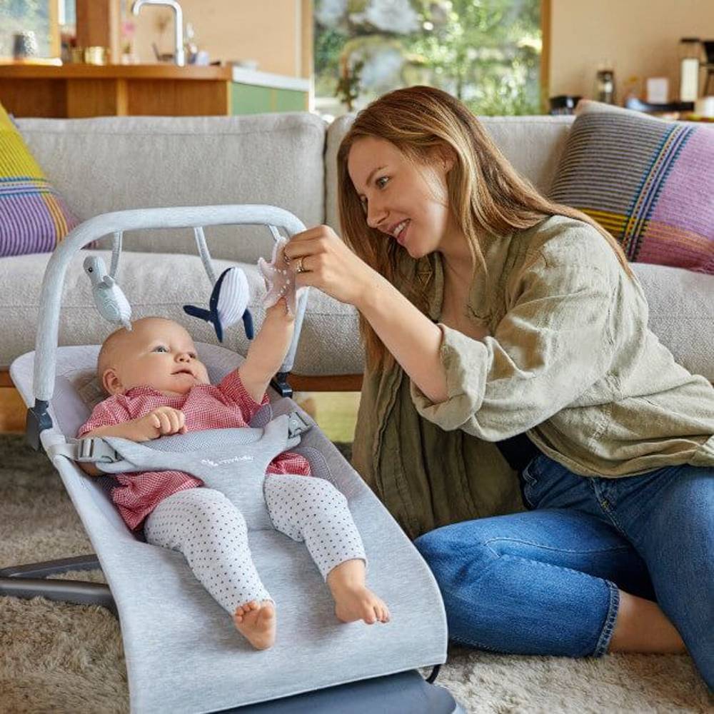 Ergobaby Evolve Bouncer