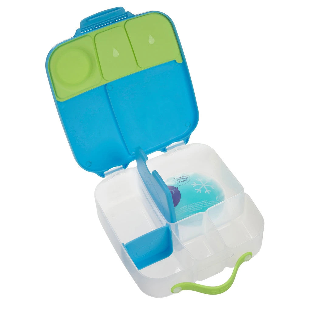 ocean breeze lunchbox