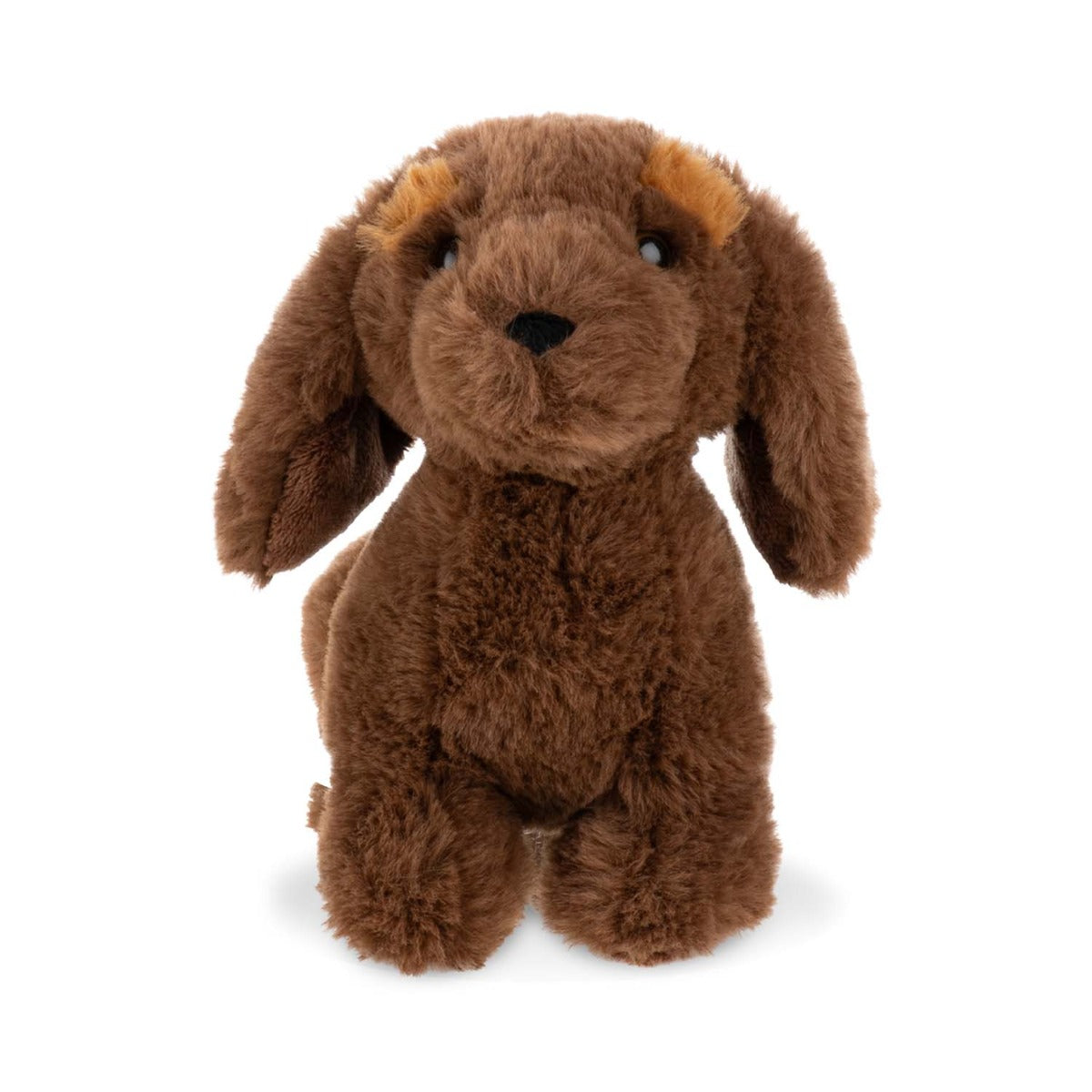 Lump Dachshund Small - front view