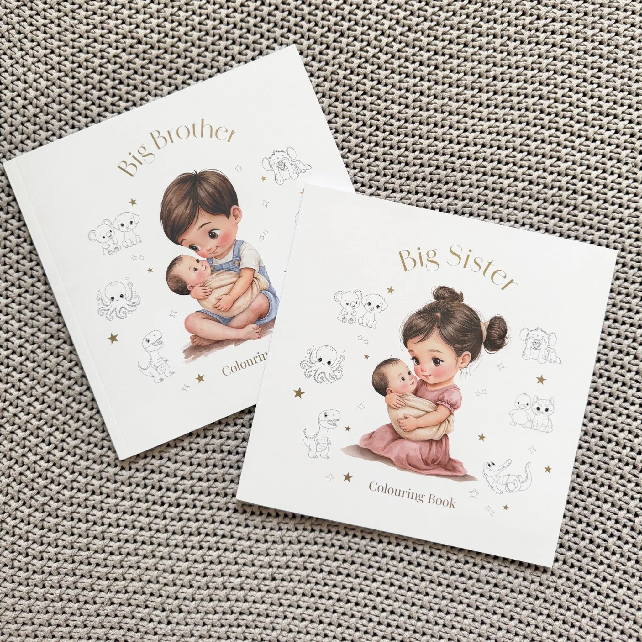 Big brother colouring book