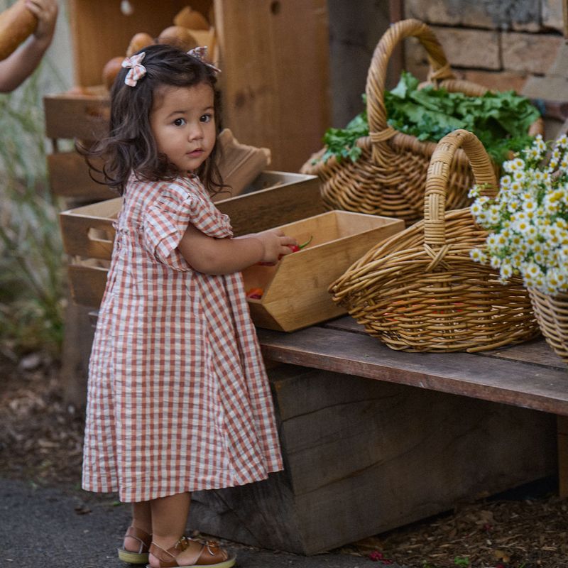 nature baby una dress in dandelion gingham